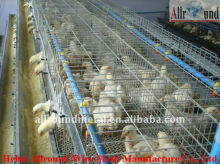 Battery chick cage for sale  
