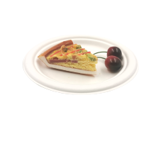 Big 9' Plates Sugarcane Bagasse Tableware Biodegradable