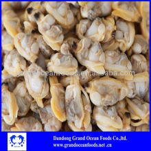 Boiled baby clam meat for sale
