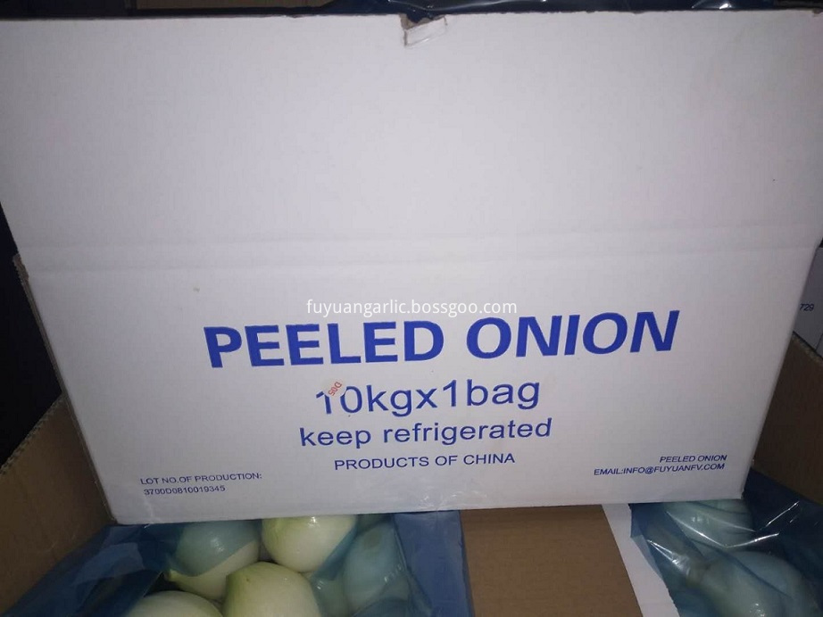 Onions