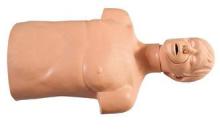 Environmental Protection PVC Half - Body First Aid Manikins