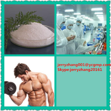 99% purity steroid hormone material Boldenone Propionate(jerryzhang001@ycgmp.com)