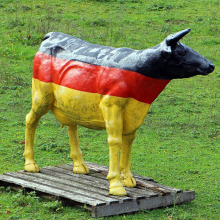 European style in stock life size fiberglass colored drawing bull cow for garden grass decoration