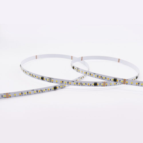 SMD 2835 120led/m Indirizzabile DMX512 Strip LED digitale