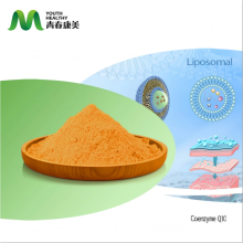 Premium Liposomal Coenzyme Q10 for Health Support