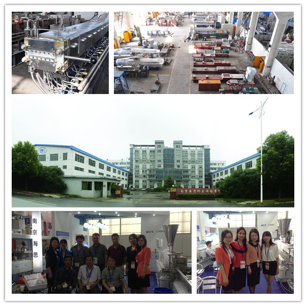 Euro Quality PP PE Pet PA PS Double Screw Pelletizer Machine