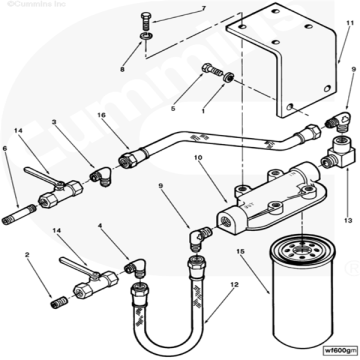 Set Main Bearing STD