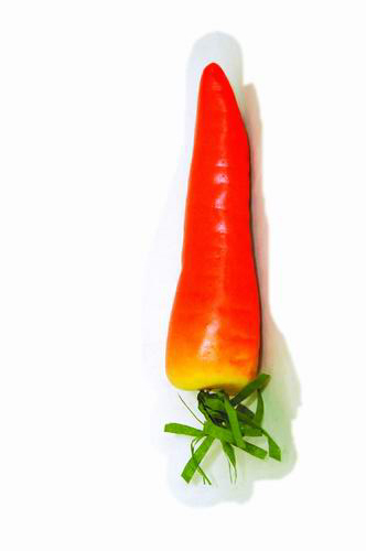 Artificial Carrot