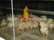 Feeding system for broiler raising equipment