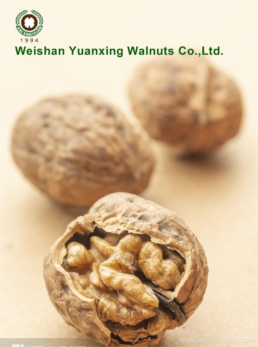 Organic Planted in the mountain Walnut kernels