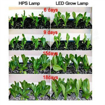 Luzes de cultivo de LED para cultivo vertical de fábrica de plantas