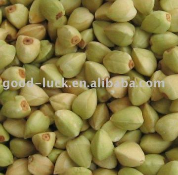 China Hulled buckwheat, Iner Mongolia Origin