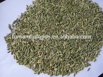 fennel seed