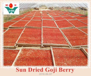 Sun Dired Goji Berry and Wolfberry exported