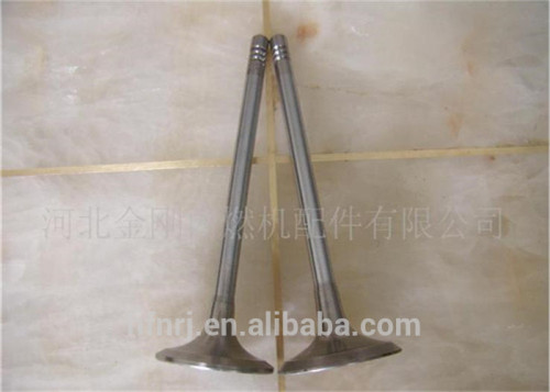 Engine valve for Dedra 1.6SPI ENG.835