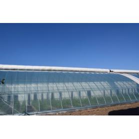 Green House proiektua