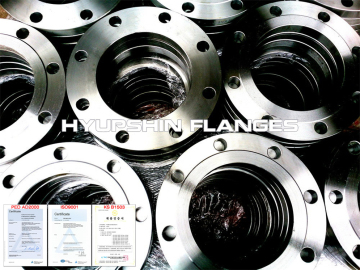 Flanges Plate Slip on Raised Face Steel