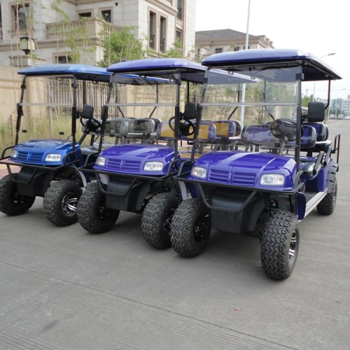 6 Seater Ezgo Gas Golf Carts