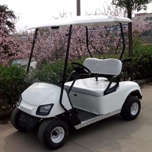 Carrello di golf elettrico mini di 2 posti