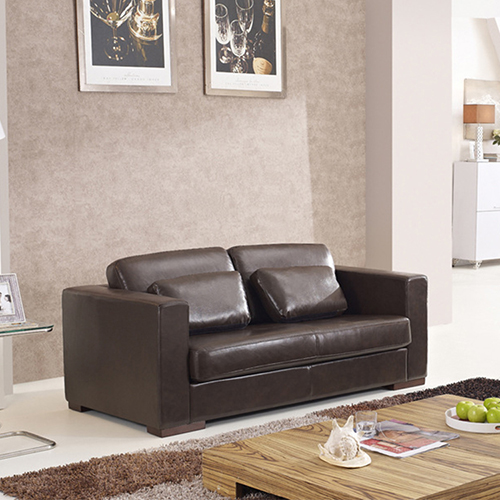 Leather Lounge Sofa Bed