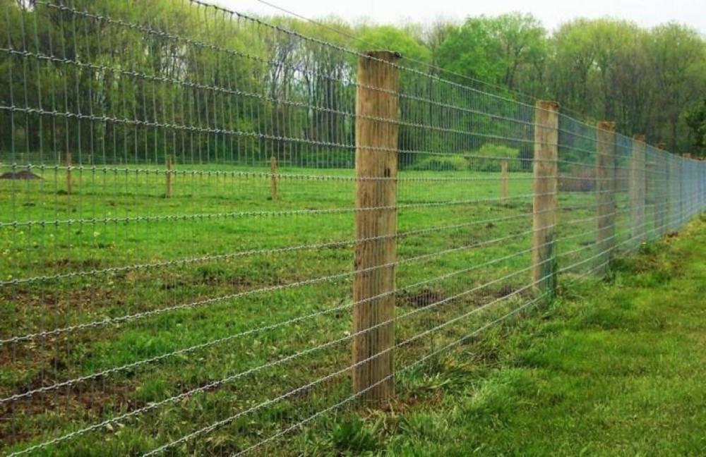 direct sale cattle fence joint knot field fence