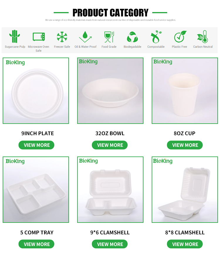Bioking Sugarcane Bagasse Pulp Clamshell Takeaway Food Box, High ...