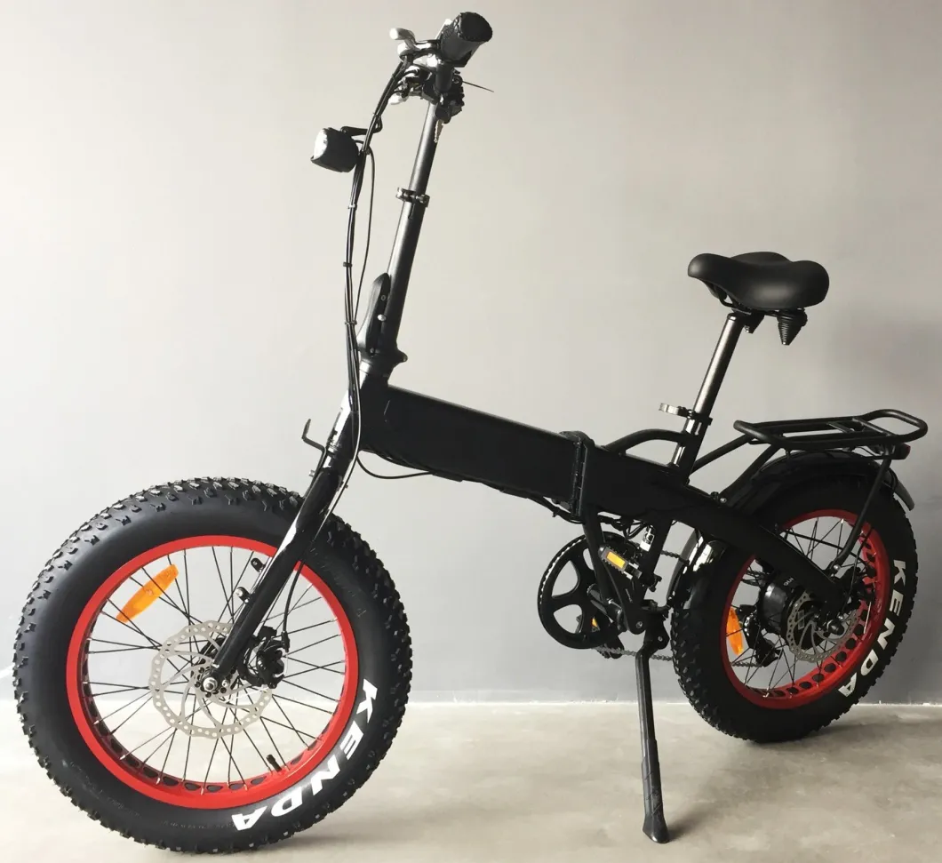 Mini Folding Electric Bicycle Ce Electric Bike/ Rechargeable Battery Bicycle