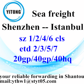 Shenzhen Sea Freight Shipping Services to Istanbul