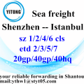 Mar de Shenzhen flete servicios a Estambul