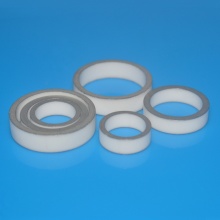 Nickle Plated Metaillized Alumina Ceramic O Ring