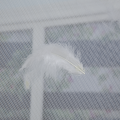 Princess Put up Feathers Umbrella Mosquito Net