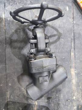 2inch 1500LB A105N Y-Type Globe Valve