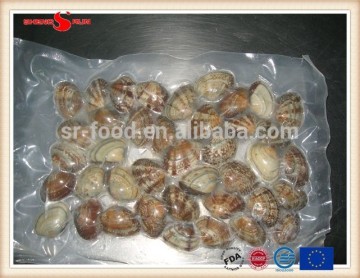 Vacuum -packed short necked clam