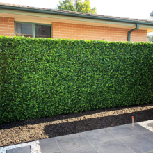 Ivy Leaf Hedge Roll: Deluxe Artificial Fence Screen Wall
