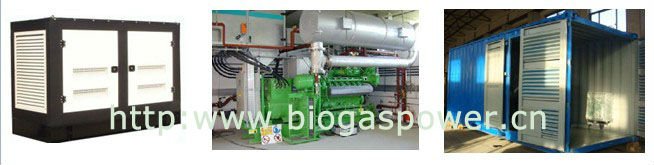 Stable performance & Low Fuel Consumption biogas generator 10-100kw gas genset for sale