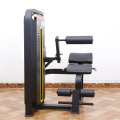 Kommersiellt gym Sittande Buken Crunch/Back Extension