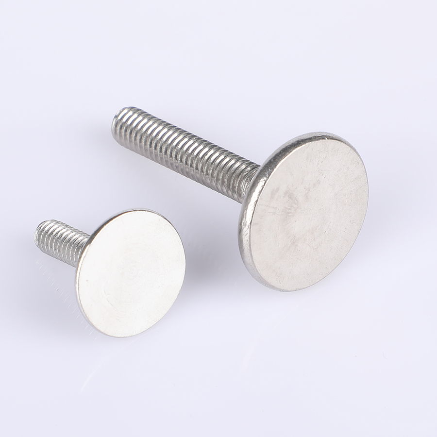 Большая головка плоская головка болт (2) Large head flat head carriage bolt (2)