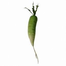 Artificial vegetable of radish