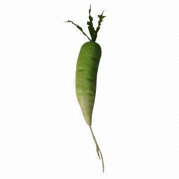 Artificial vegetable of radish