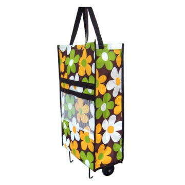 trolly shopping bag