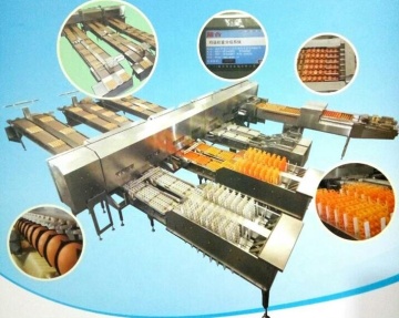 Egg Grader: Egg Grading Machine
