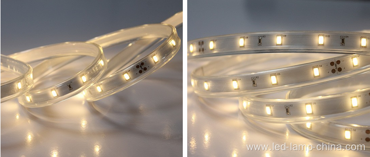 Christmas 5630 led strip