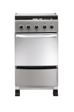 New Style Electric Stove with 2 Ovens