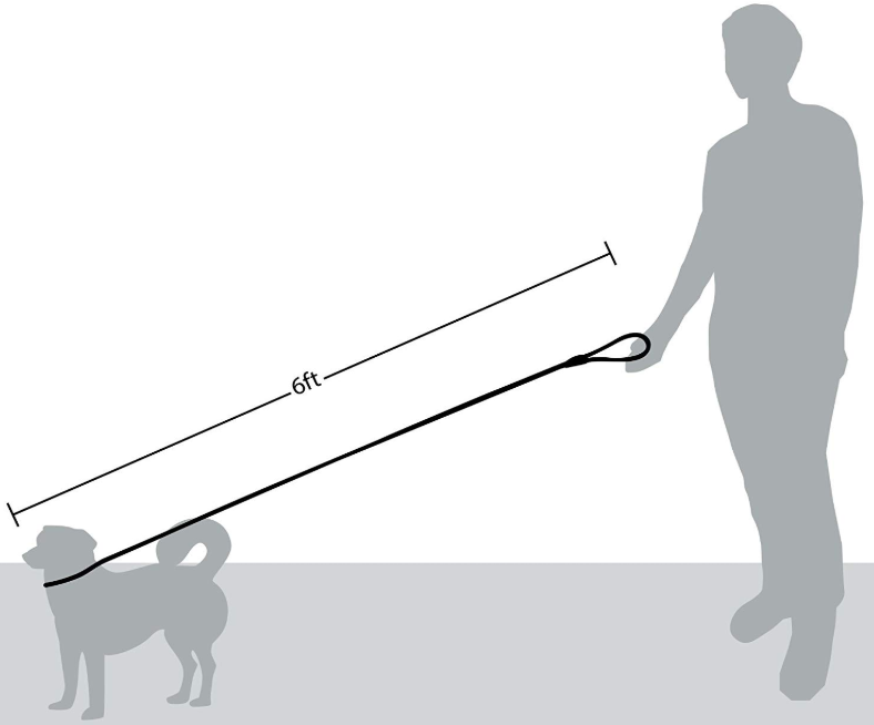 Durable Dog Slip Rope Leash