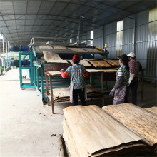 Core Birch Veneer Dryer Equipment