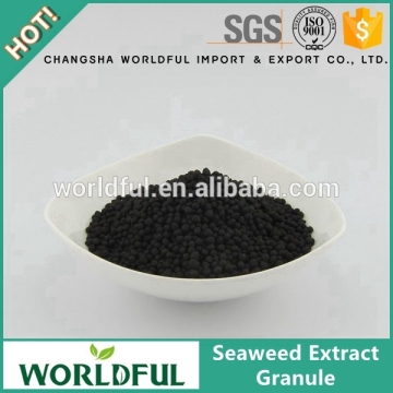 Black granule seaweed extract organic fertilizer, water soluble seaweed extract granule