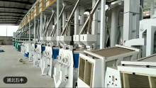 Double Rolls Rice Whitener mini rice milling machine