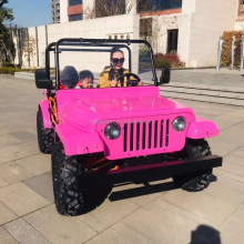 China Factory Direct 200cc Adult Engine Mini Jeep Gasoline Quad Dune Buggy for Sale