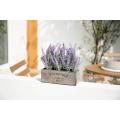 Potted Lavender Plant with Wooden Tray