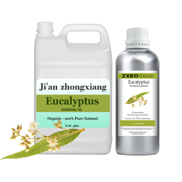 Natural eucalyptus oil,eucalyptus oil bulk